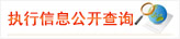 执行信息公开查询