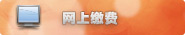 网上缴费