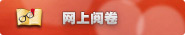 网上阅卷